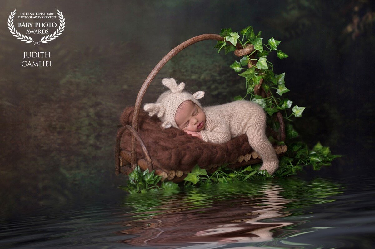 צילומי ניו בורן