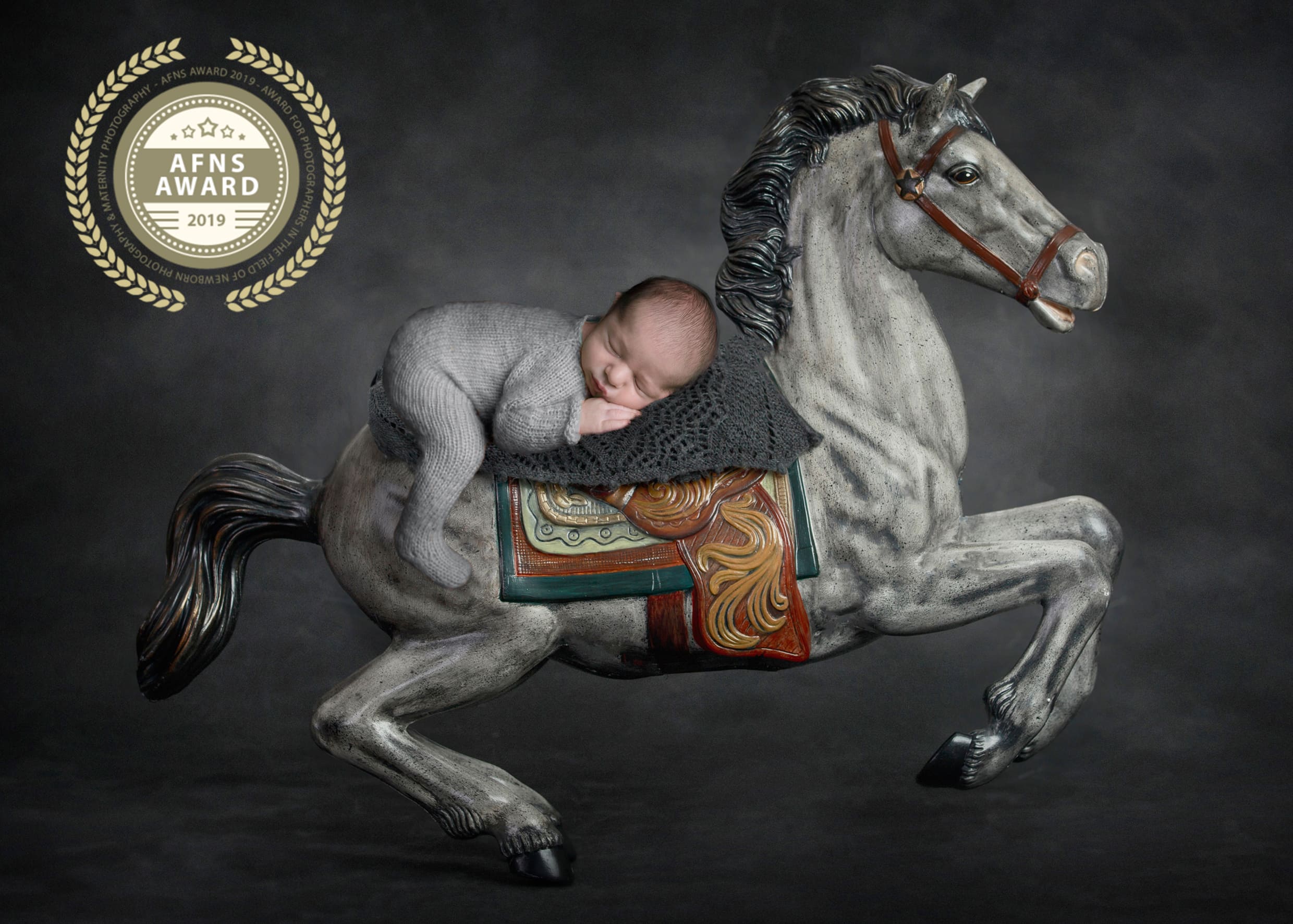 צילום תינוקות ניו בורן