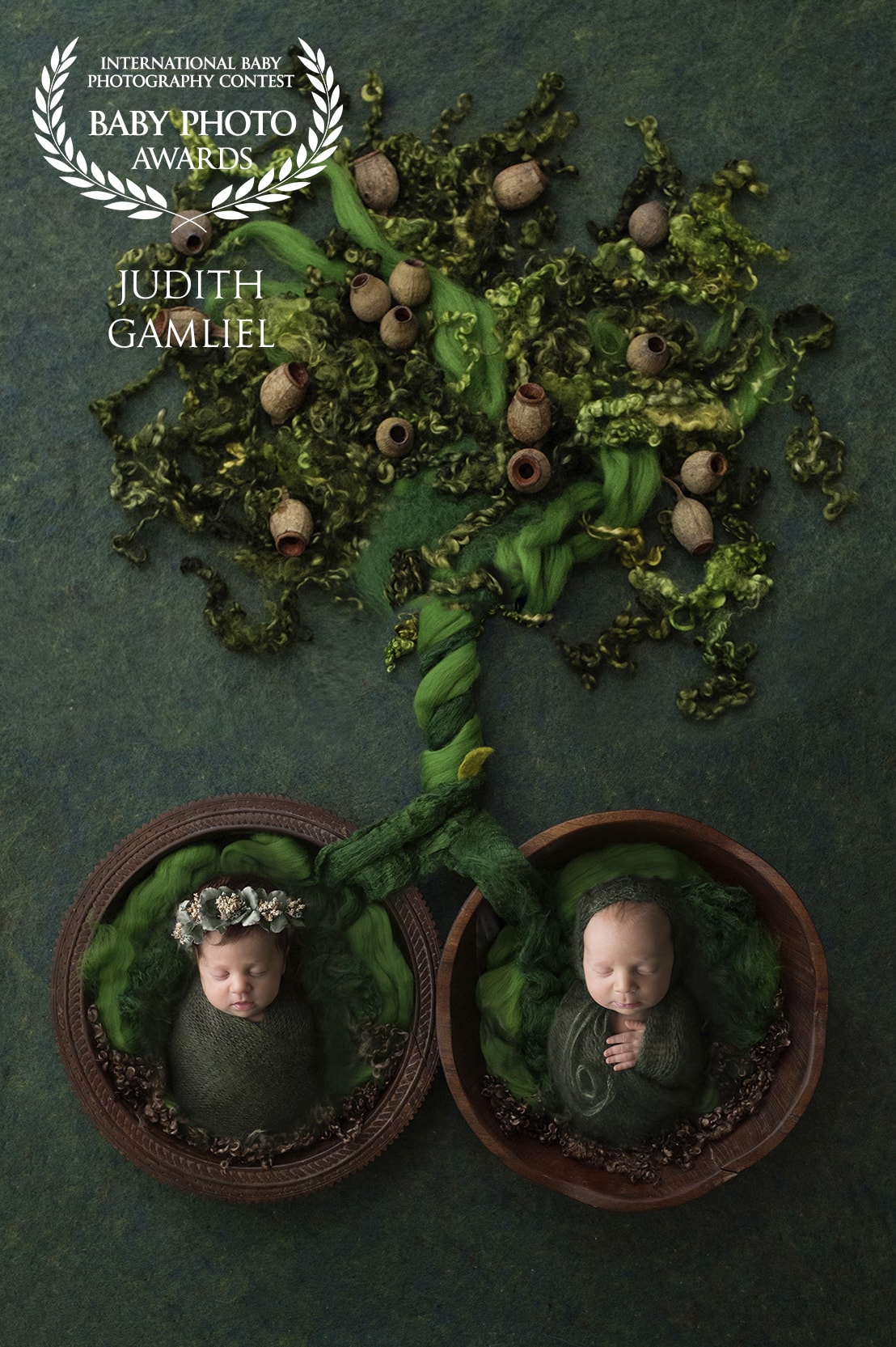 צילומי ניובון תאומים