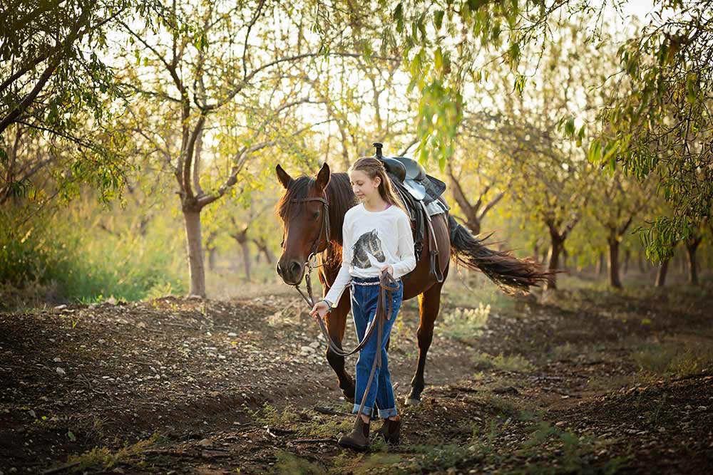 בוק בת מצווה עם סוסים
